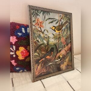 Vintage Framed Bird Print - Walter Weber